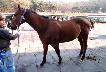 õ�⿵�� (CHEONNYEONYEONGUNG) ����