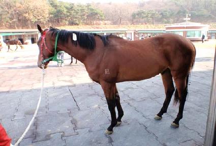 ���������� ����