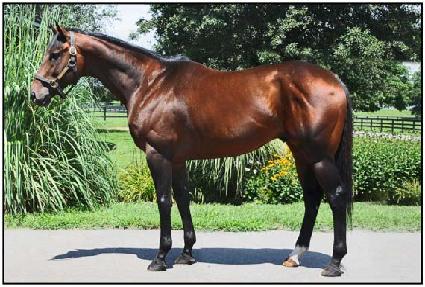 �÷����ö��� ����