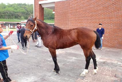 ���� ����