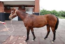 ���Ǿ�� (NO FEAR MAN) ����