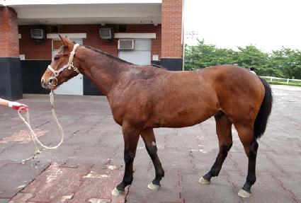 ���Ǿ�� ����