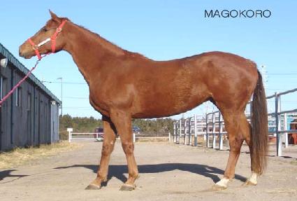 �Ű��ڷ� ����