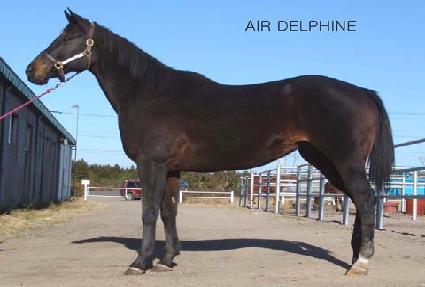 ����� ����