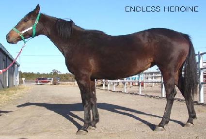 ���鸮������� ����