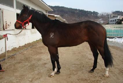 ���� ����