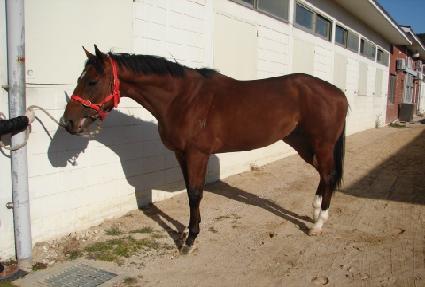 �����׹� ����