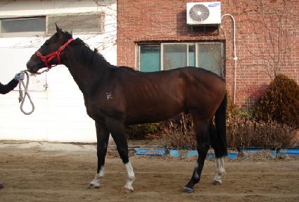 ���￡�̽� ����