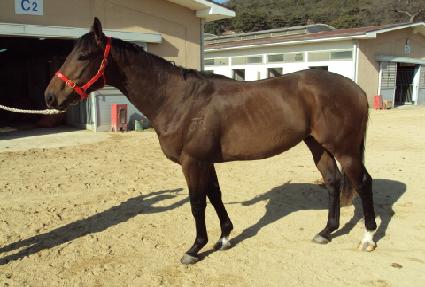 �����ô� ����