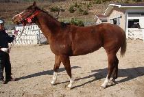 �������м� (LIFE PASSION) ����