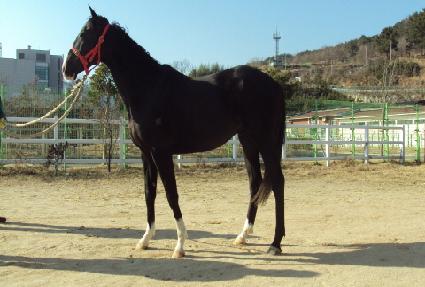 �ΰ��ȭ ����