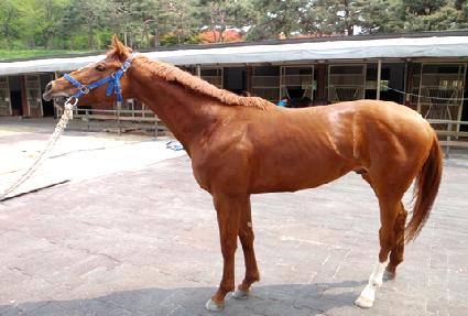 ��Ÿ��ƽ���� ����