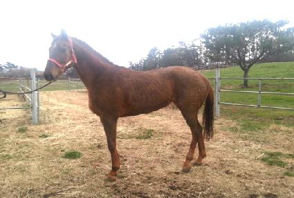 ������ ����