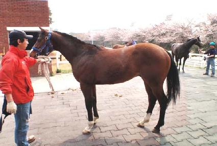 ����ű� ����