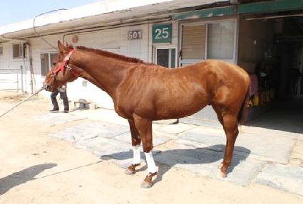 ��տ��̽� ����