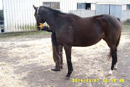 �Թ��ε帲���� ����