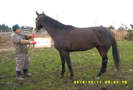 �����̾������ ����