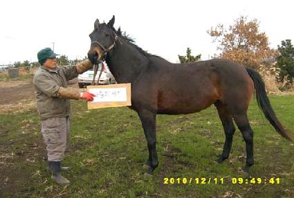 ���ʸ����� ����