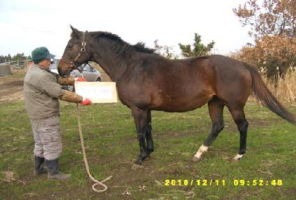 �������ʸ� ����