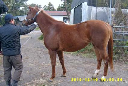 ������Ÿ��� ����