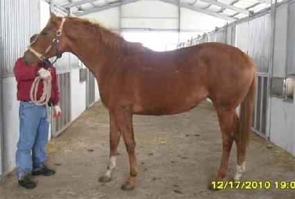 ������ī���� ����