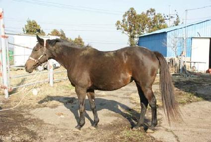 �̼�����Ʈ�� ����