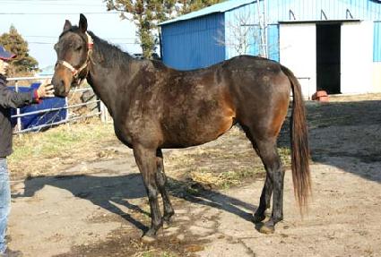 ü�Ͼ� ����