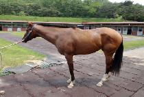 ���Ǵ� (SFIDA) ����