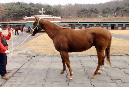 �̽���ĸƾ ����