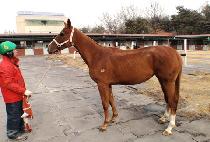 ������Ű (DONASKY) ����