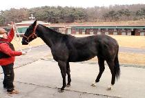 �����ܰ�õ (ICON GWACHEON) ����