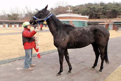 �ٸ����귯 ����