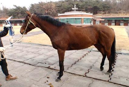 �����н�ũ�� ����