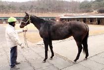 ���׽���Ʈ (RUNNING SMART) ����