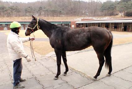 ���׽���Ʈ ����