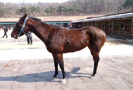 ���� ����