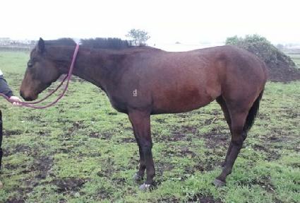 ��������Ʈ ����