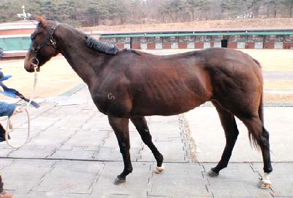 ������ ����