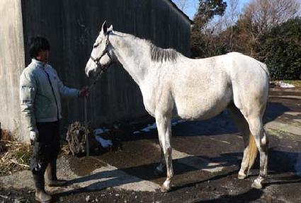 �������� ����