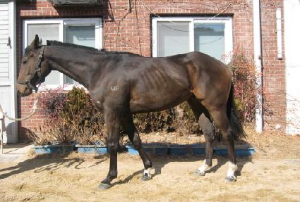 ��ٸ�Ȳ�� ����