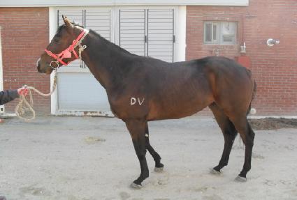 �����ٶ� ����