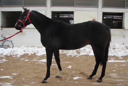 ������� ����