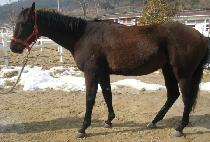 ��ŵ� (TOP SINDONG) ����