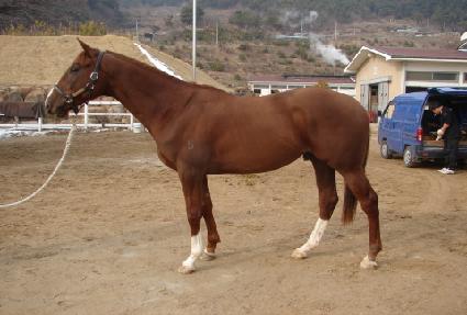 ���è�� ����