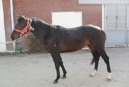 õ������ ����