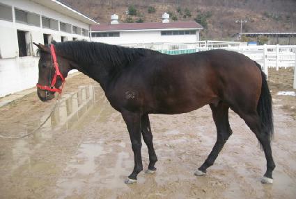 �����ǰ��� ����