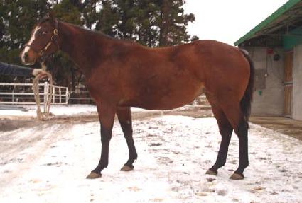 �ô��� ����