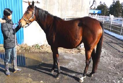 �������������� ����