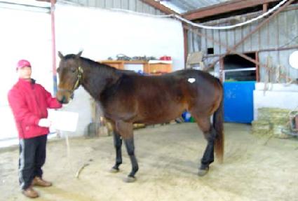 ��׹��� ����