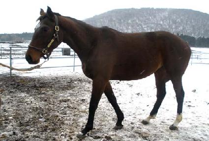 ��Ÿ���ٿ�� ����